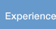 Experience