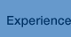 Experience